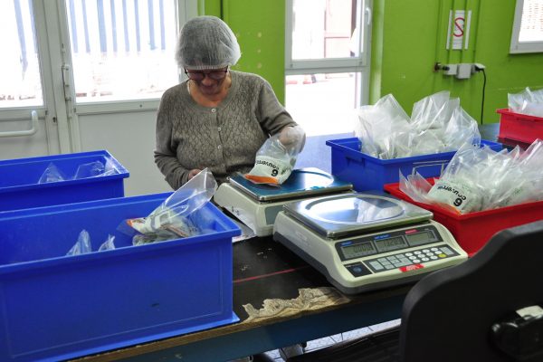 Esat Creuzier dans l'Allier en Auvergne